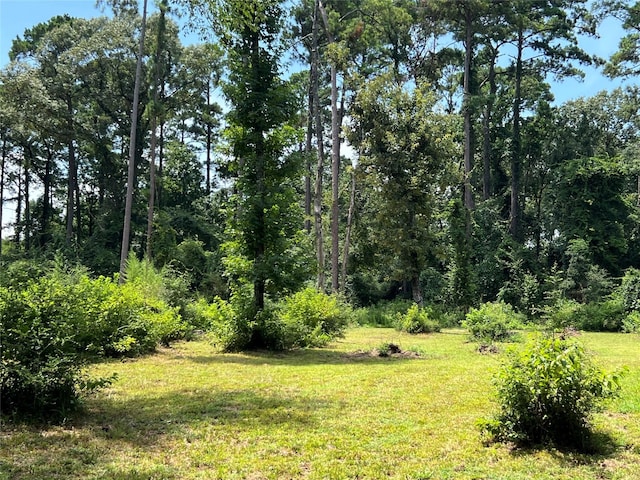 TR28 Oak Pine Dr, Livingston, TX 77351 - photo 6