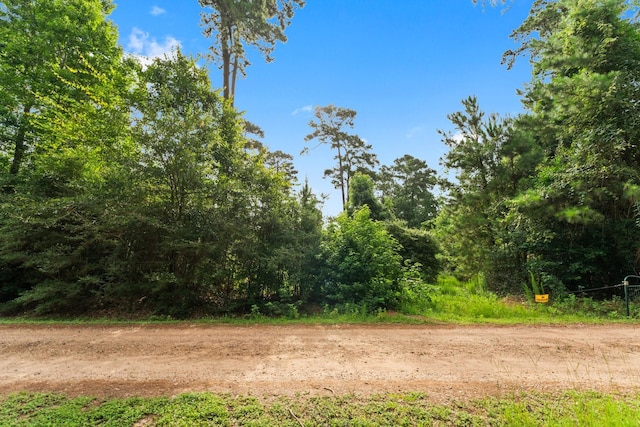 0 Lutheran Church Rd, Tomball, TX 77377 - photo 4