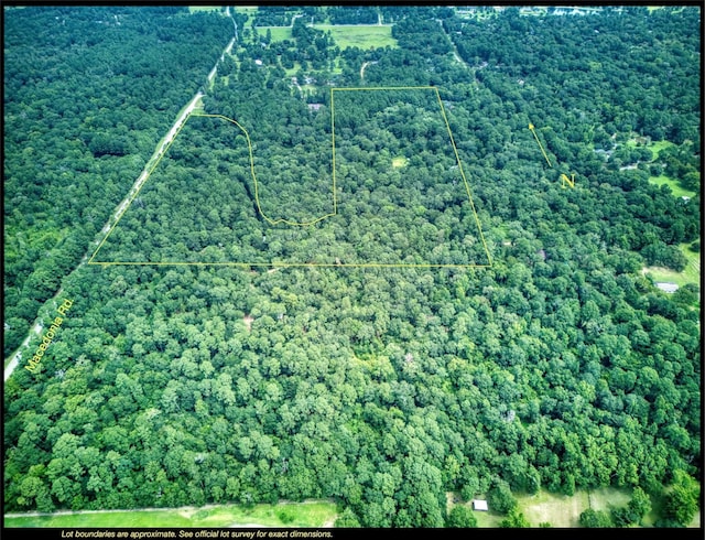 24222 Macedonia Rd, Hockley, TX 77447 - photo 4