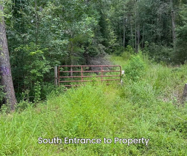 24222 Macedonia Rd, Hockley, TX 77447 - photo 13