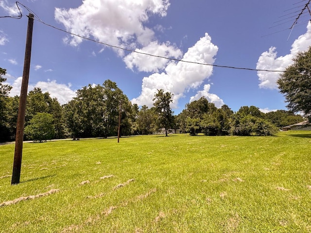 30 Deborah St, Huntsville, TX 77320 - photo 19