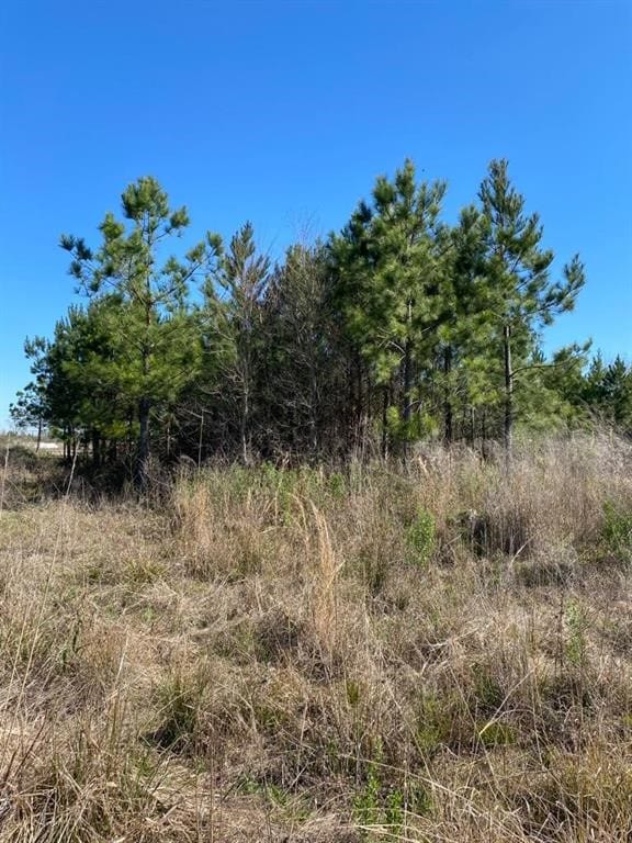 5059 County Road 3540, Cleveland, TX 77327 - photo 3