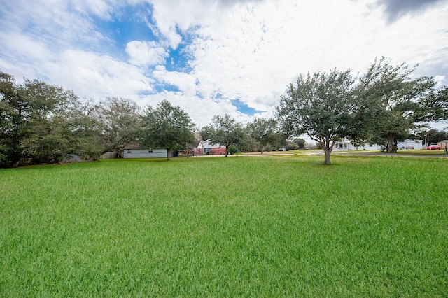 413 S Lavaca, Louise, TX 77455 - photo 4