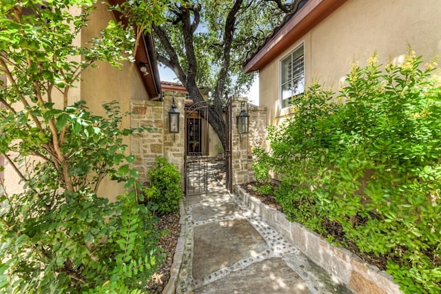1108 Tuscan Rdg, New Braunfels, TX 78130 - photo 3