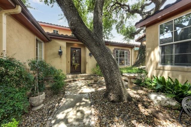 1108 Tuscan Rdg, New Braunfels, TX 78130 - photo 4