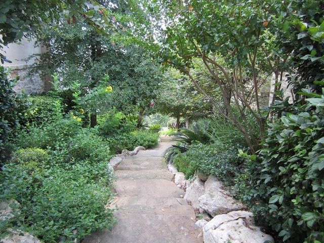 1108 Tuscan Rdg, New Braunfels, TX 78130 - photo 37