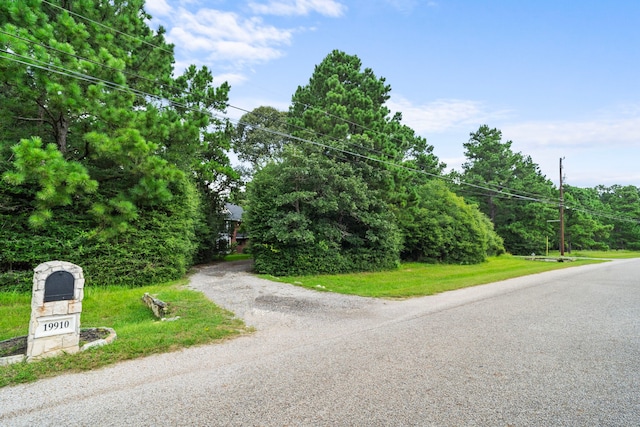 19910 Emerald Way, Magnolia, TX 77355 - photo 43