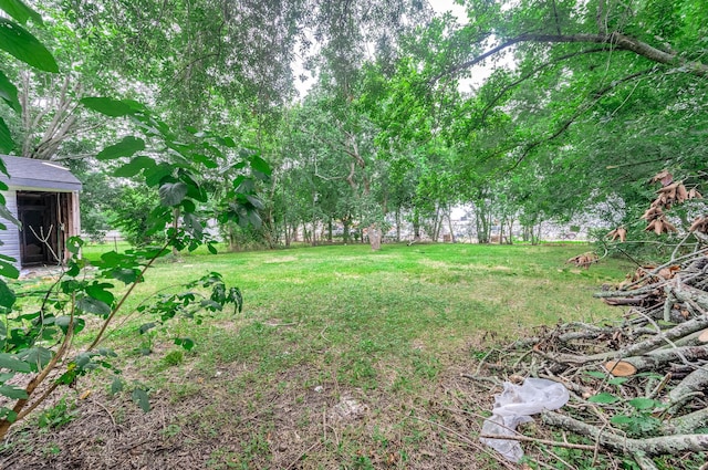 410 Wisteria St, La Marque, TX 77568 - photo 20