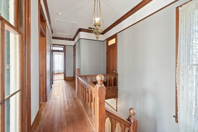 1116 Church St, Galveston, TX 77550 - photo 22