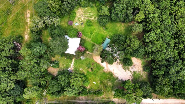 101 Rocky Ln, Livingston, TX 77351 - photo 3