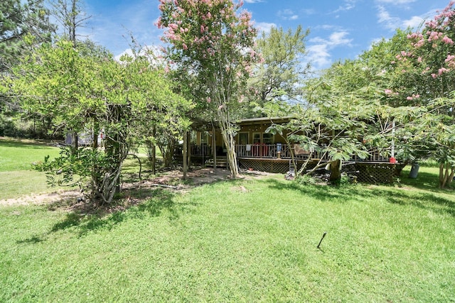 101 Rocky Ln, Livingston, TX 77351 - photo 35