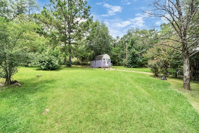 101 Rocky Ln, Livingston, TX 77351 - photo 31