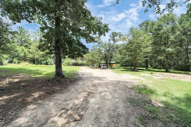 101 Rocky Ln, Livingston, TX 77351 - photo 9