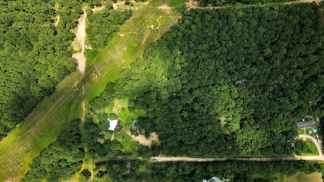 101 Rocky Ln, Livingston, TX 77351 - photo 10