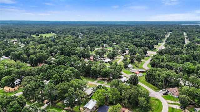 51 Antilles Dr, Point Blank, TX 77364 - photo 10