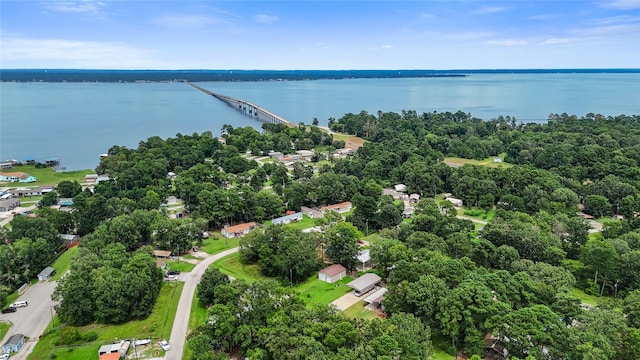 51 Antilles Dr, Point Blank, TX 77364 - photo 11