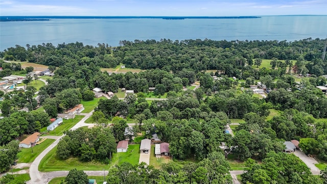 61 Antilles Dr, Point Blank, TX 77364 - photo 10