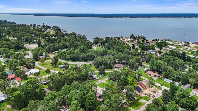 61 Antilles Dr, Point Blank, TX 77364 - photo 11