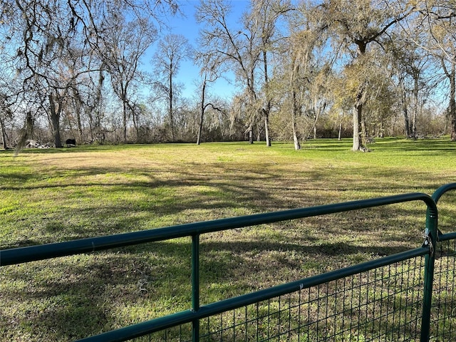 431 Little Dogie Rd, Simonton, TX 77485 - photo 3