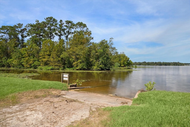 25814 Water Ridge Dr, Houston, TX 77336 - photo 42