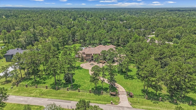 28322 Meadow Frst, Magnolia, TX 77355 - photo 50