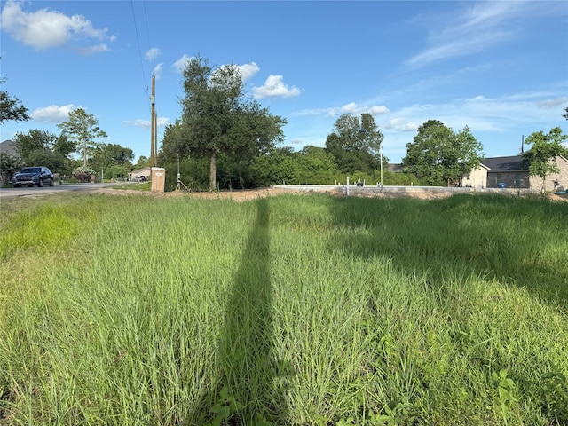 410 Texas Ave, Rosharon, TX 77583 - photo 2