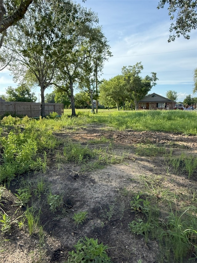 410 Texas Ave, Rosharon, TX 77583 - photo 1