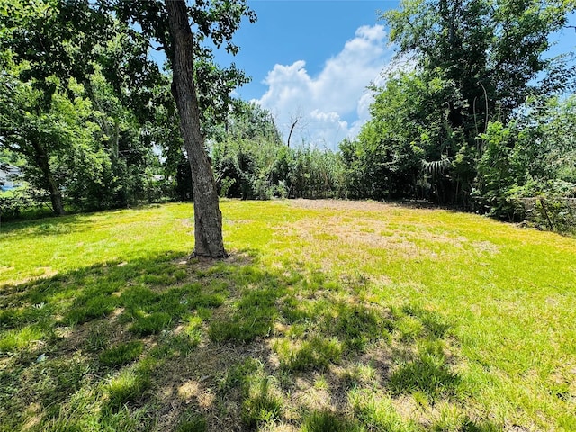 5962 Van Fleet St, Houston, TX 77033 - photo 16