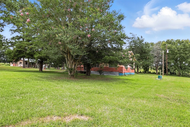 6421 County Road 206, Plantersville, TX 77363 - photo 3