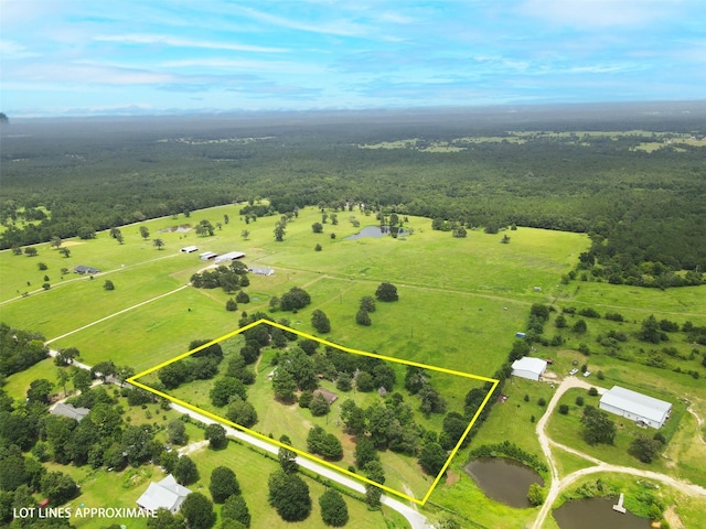 6421 County Road 206, Plantersville, TX 77363 - photo 2