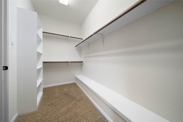 8214 Silent Deep Dr, Rosenberg, TX 77469 - photo 16