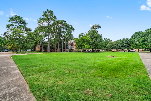 16800 Sugar Pine Dr Unit B11, Houston, TX 77090 - photo 22