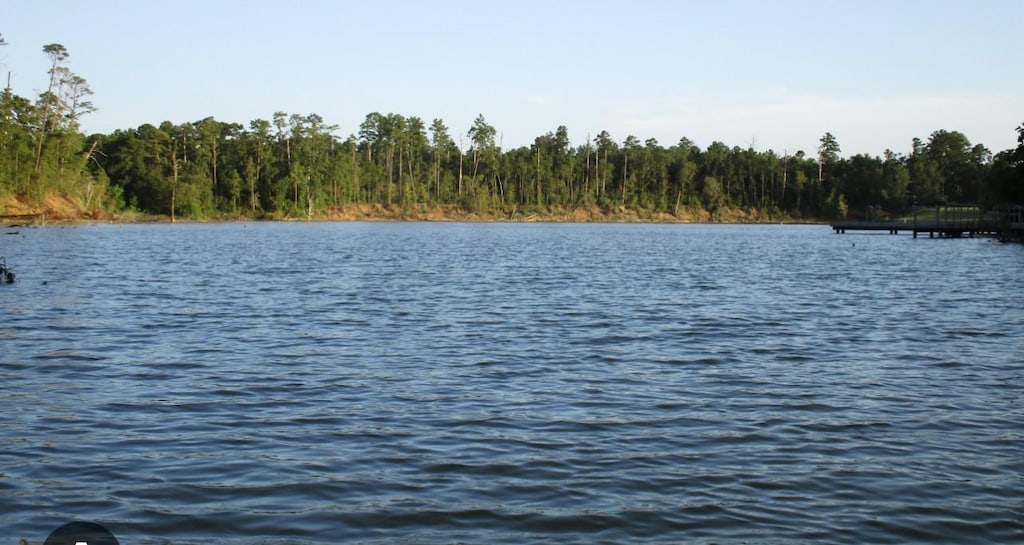 TBD Creeklake Dr, Onalaska, TX 77360 - photo 2