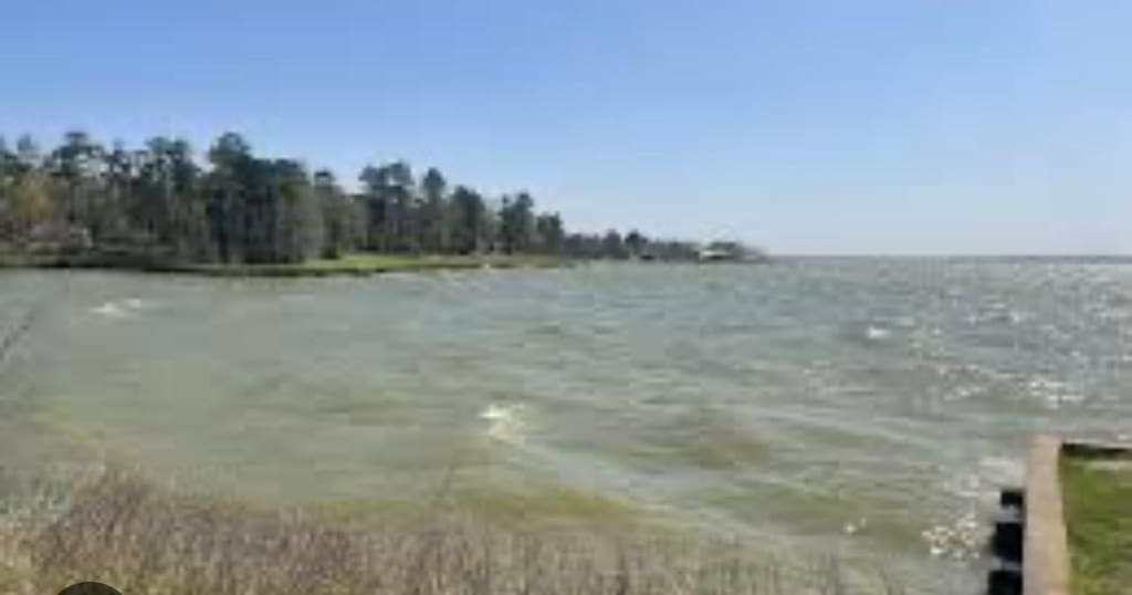 TBD Creeklake Dr, Onalaska, TX 77360 - photo 3