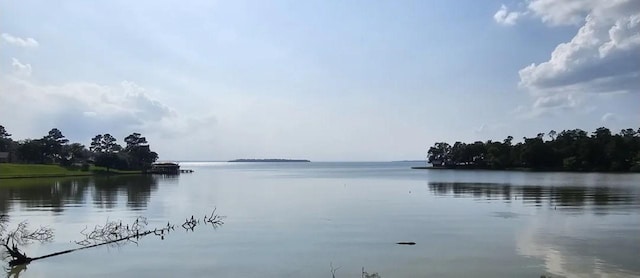 TBD Creeklake Dr, Onalaska, TX 77360 - photo 4