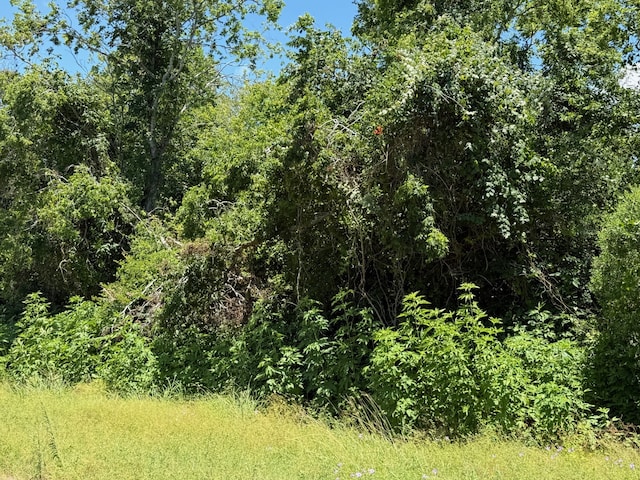 0 Tri City Beach Rd, Baytown, TX 77523 - photo 7