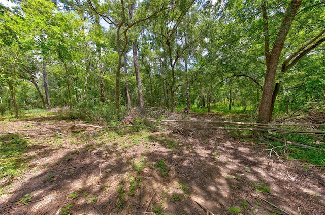2005 Sunset Dr, Dickinson, TX 77539 - photo 10