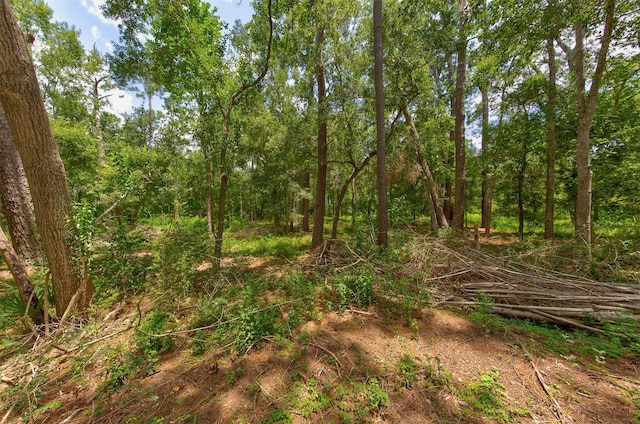 2005 Sunset Dr, Dickinson, TX 77539 - photo 11
