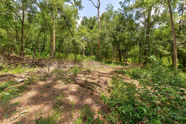 2005 Sunset Dr, Dickinson, TX 77539 - photo 12