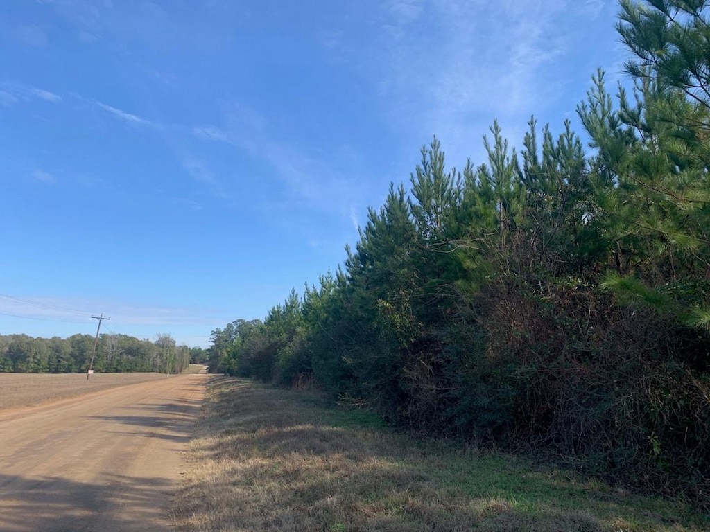 0 Nursery Rd, Livingston, TX 77351 - photo 3