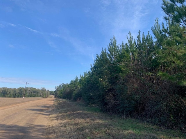 0 Nursery Rd, Livingston, TX 77351 - photo 3