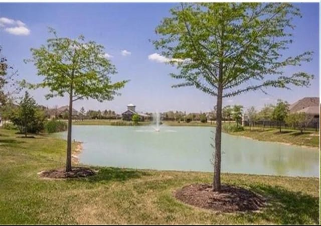 3746 Cactus Field Ln, Katy, TX 77449 - photo 1