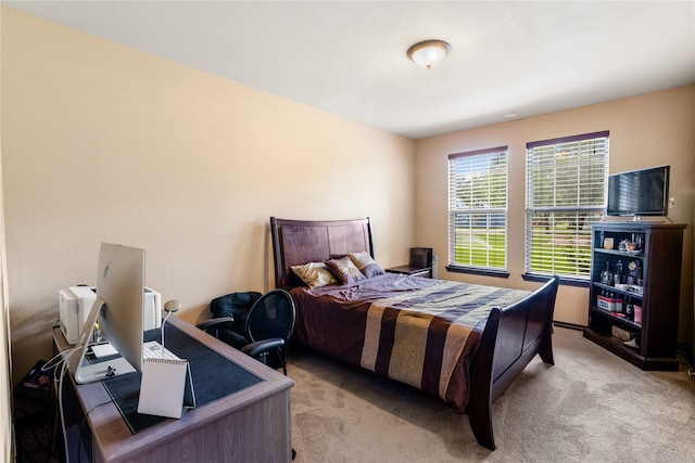 1106 Armadillo Rd, Rosenberg, TX 77471 - photo 16