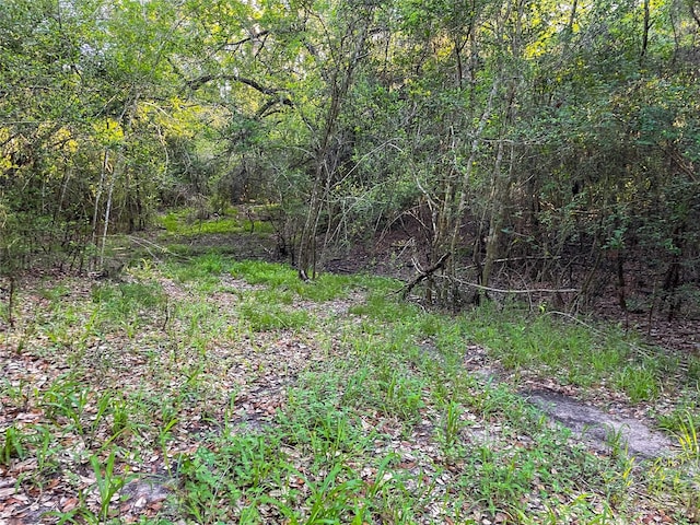 0 Fm-2616, Hallettsville, TX 77964 - photo 30
