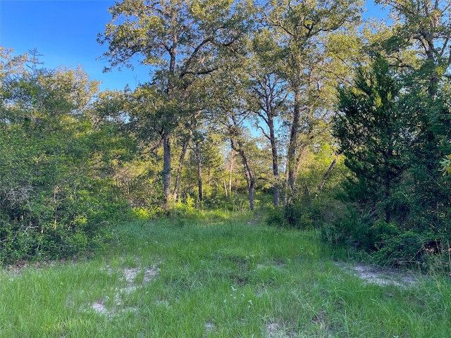 0 Fm-2616, Hallettsville, TX 77964 - photo 31