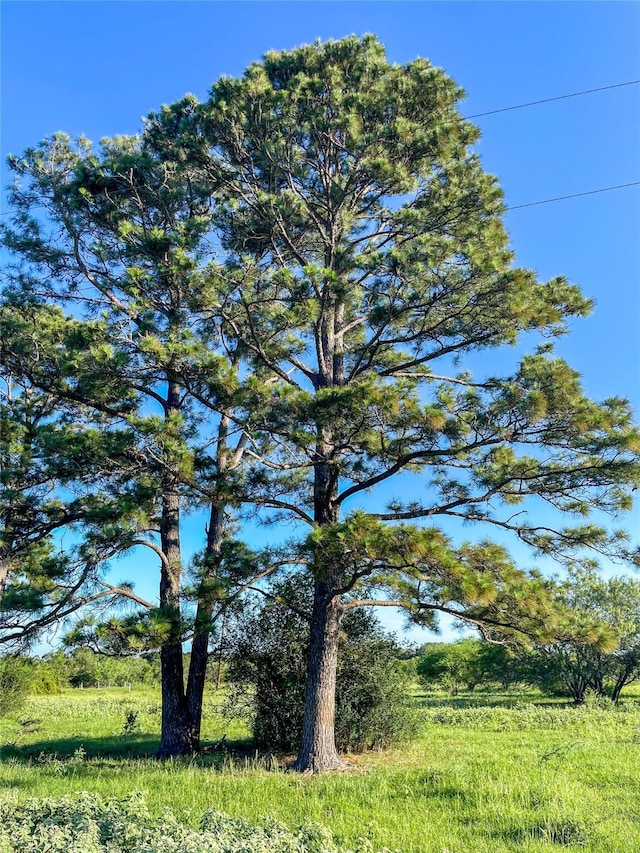 0 Fm-2616, Hallettsville, TX 77964 - photo 7