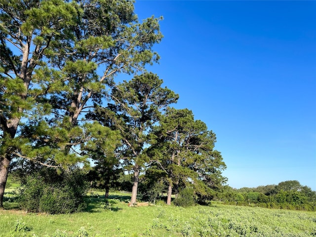 0 Fm-2616, Hallettsville, TX 77964 - photo 8