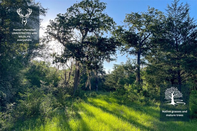 0 Fm-2616, Hallettsville, TX 77964 - photo 9