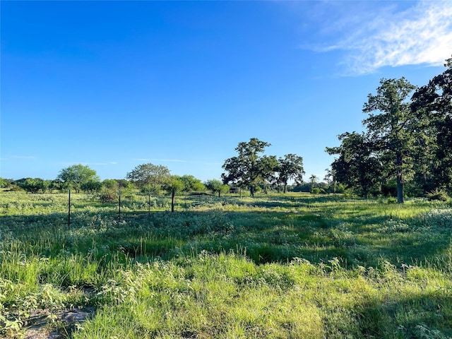 0 Fm-2616, Hallettsville, TX 77964 - photo 11
