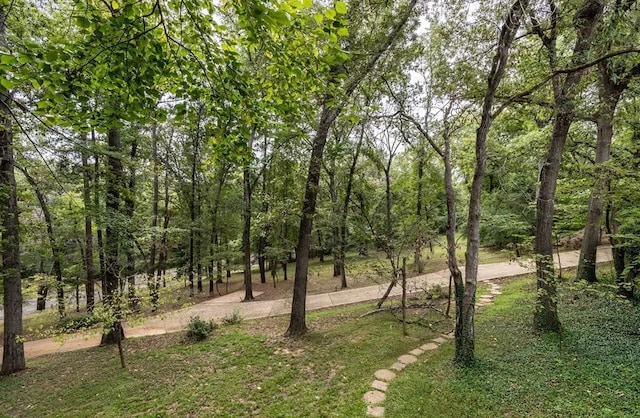 2223 N Link St, Palestine, TX 75803 - photo 6